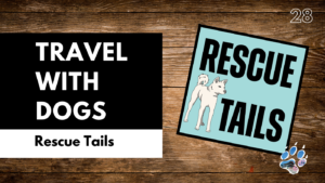 Flying With Dogs Internationally: Pet Quarantine Rules, Travel Tips, and Airline Mistakes