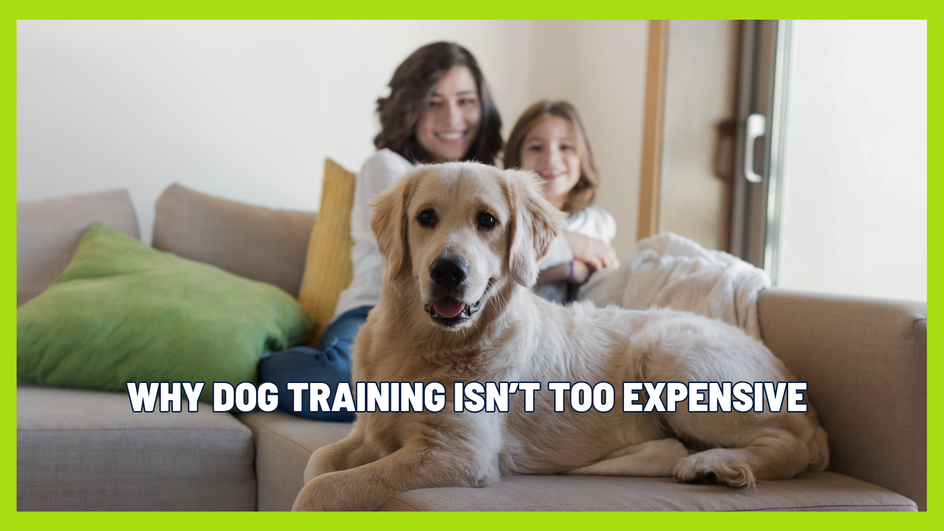 Why Dog Training Isn’t Expensive (Compared to Chaos)