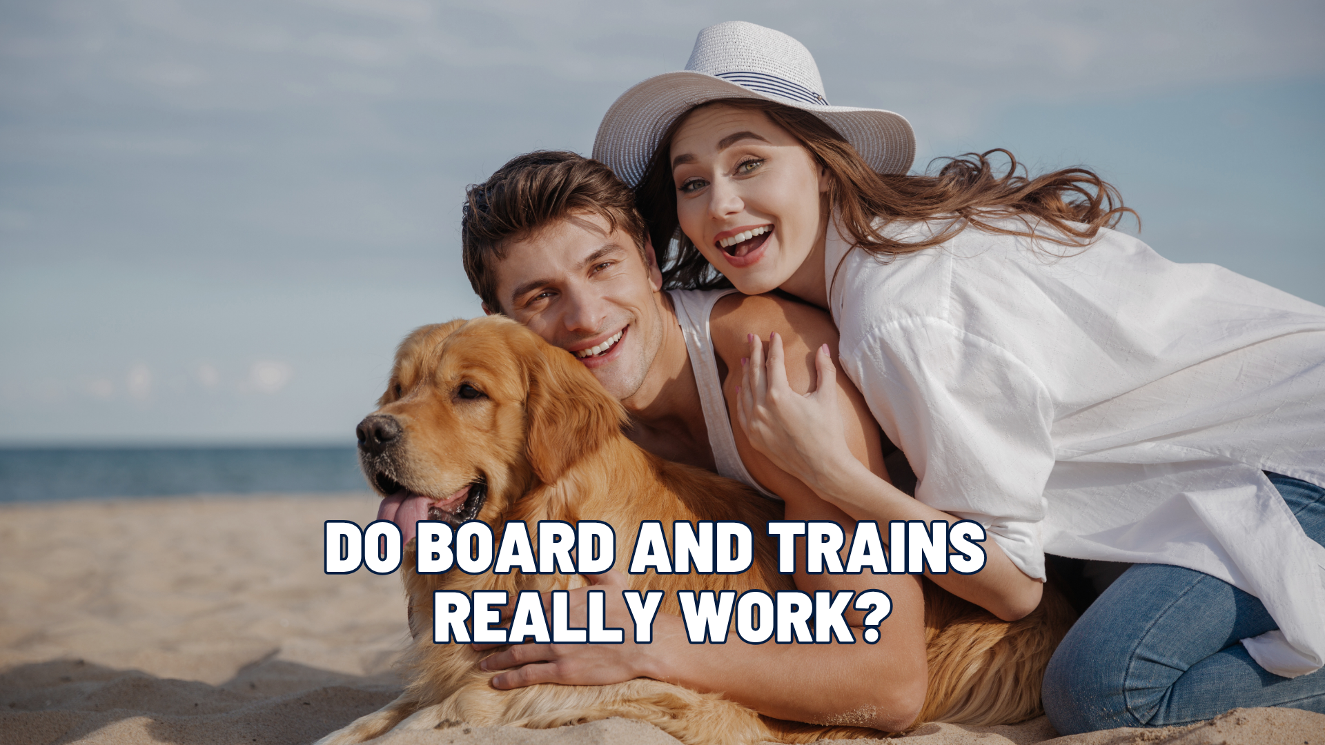 Do Board and Train Programs Actually Work? The Truth Every Dog Owner Should Know