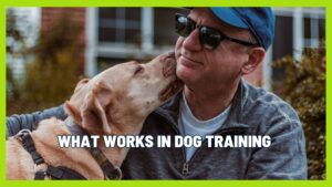 Dog Training Unfiltered: What Actually Works (The Truth About Corrections)