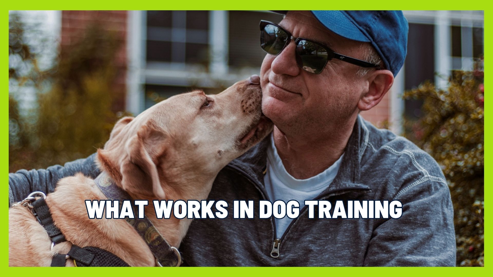 Dog Training Unfiltered: What Actually Works (The Truth About Corrections)