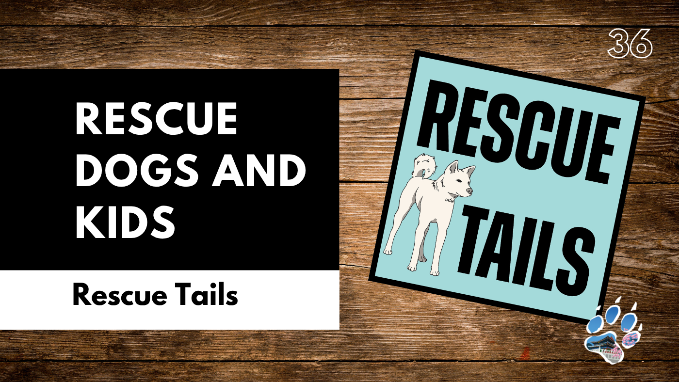 Kids and Rescue Dogs: How to Build Safe, Lifelong Bonds
