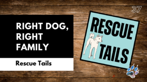 Finding the Right Match: How Rescue Dogs Find the Right Family