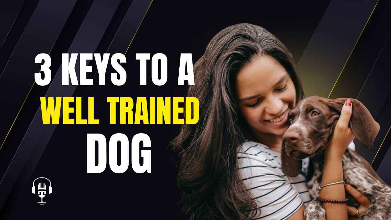 The 3 Keys to a Well-Trained Dog | What Actually Creates Reliability