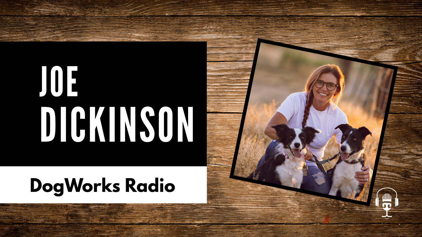 What Makes a Professional Dog Trainer? Joe Dickinson of Western States K9 College