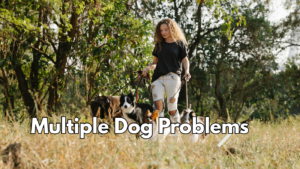 Why One Dog Always Seems to Be the Problem