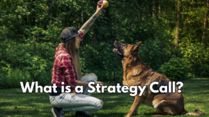 What Is a Dog Training Strategy Call and Should You Book One?