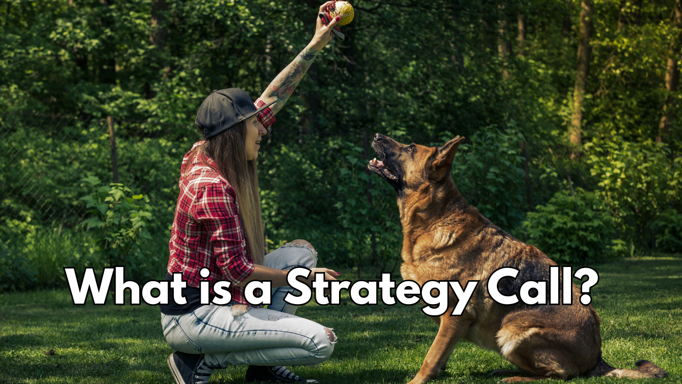 What Is a Dog Training Strategy Call and Should You Book One?
