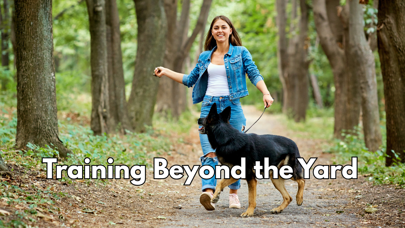 Why Training Beyond the Backyard Matters